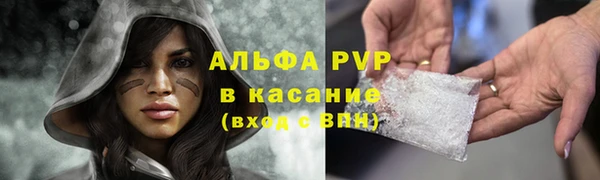ПСИЛОЦИБИНОВЫЕ ГРИБЫ Белокуриха