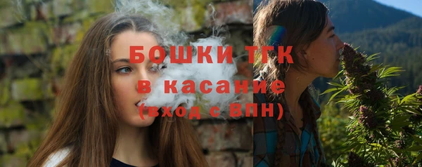 ПСИЛОЦИБИНОВЫЕ ГРИБЫ Белокуриха