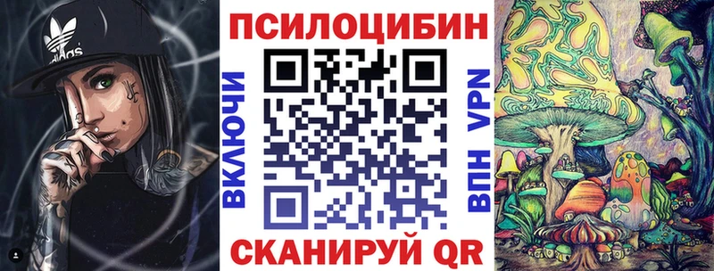 Псилоцибиновые грибы Psilocybe  Тулун 